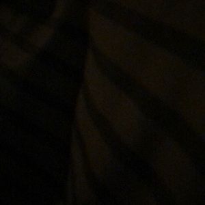 Meet your Posher, Ricardo